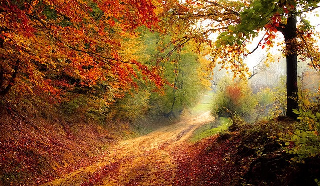 4 Great Ways To Spend Your Fall Weekend